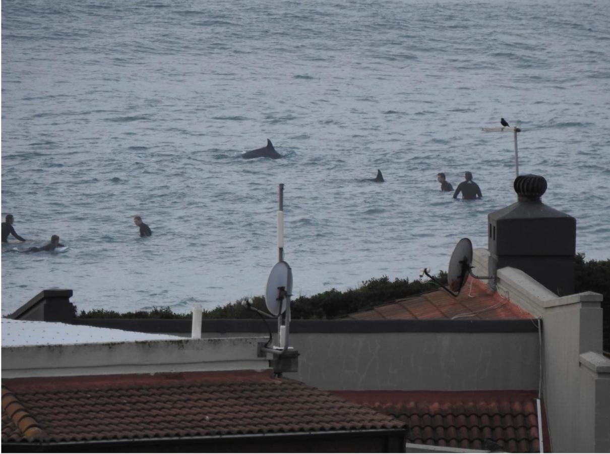 Appartement Surfstar At Mimosa Jeffreys Bay Extérieur photo