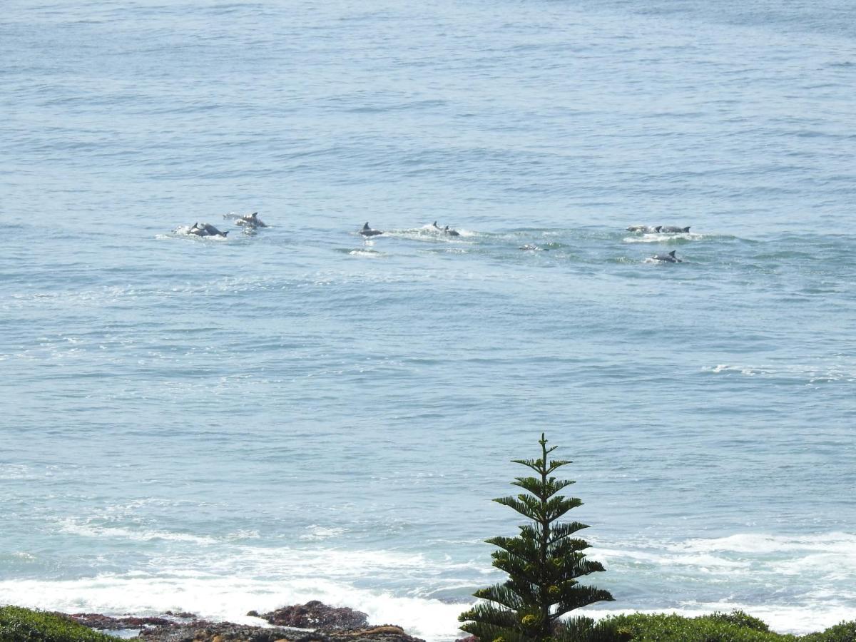 Appartement Surfstar At Mimosa Jeffreys Bay Extérieur photo