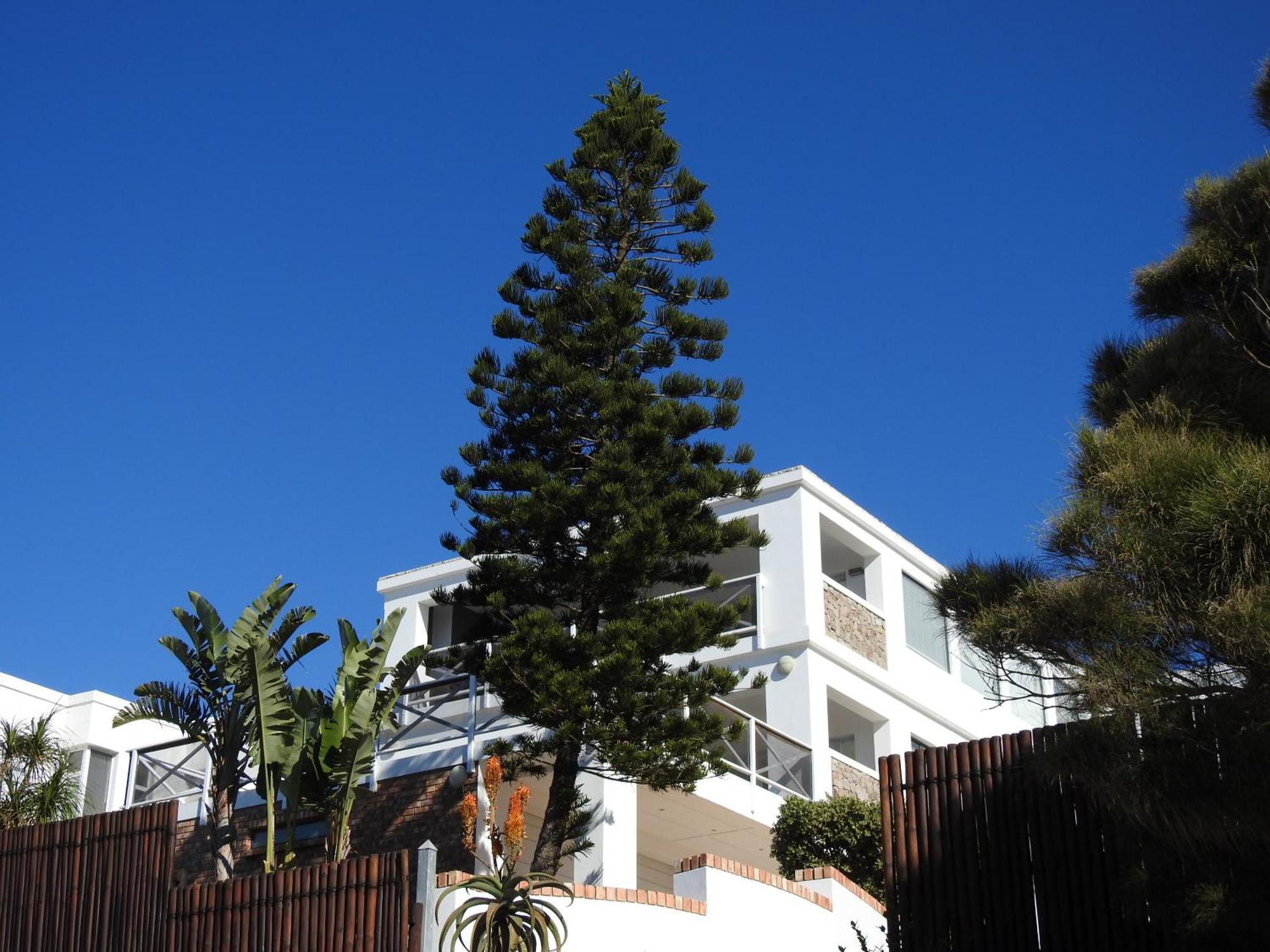 Appartement Surfstar At Mimosa Jeffreys Bay Extérieur photo
